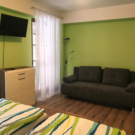 Appartement Krušné hory - Klínovec 2 km- Jáchymov 2-4 osoby Extérieur photo