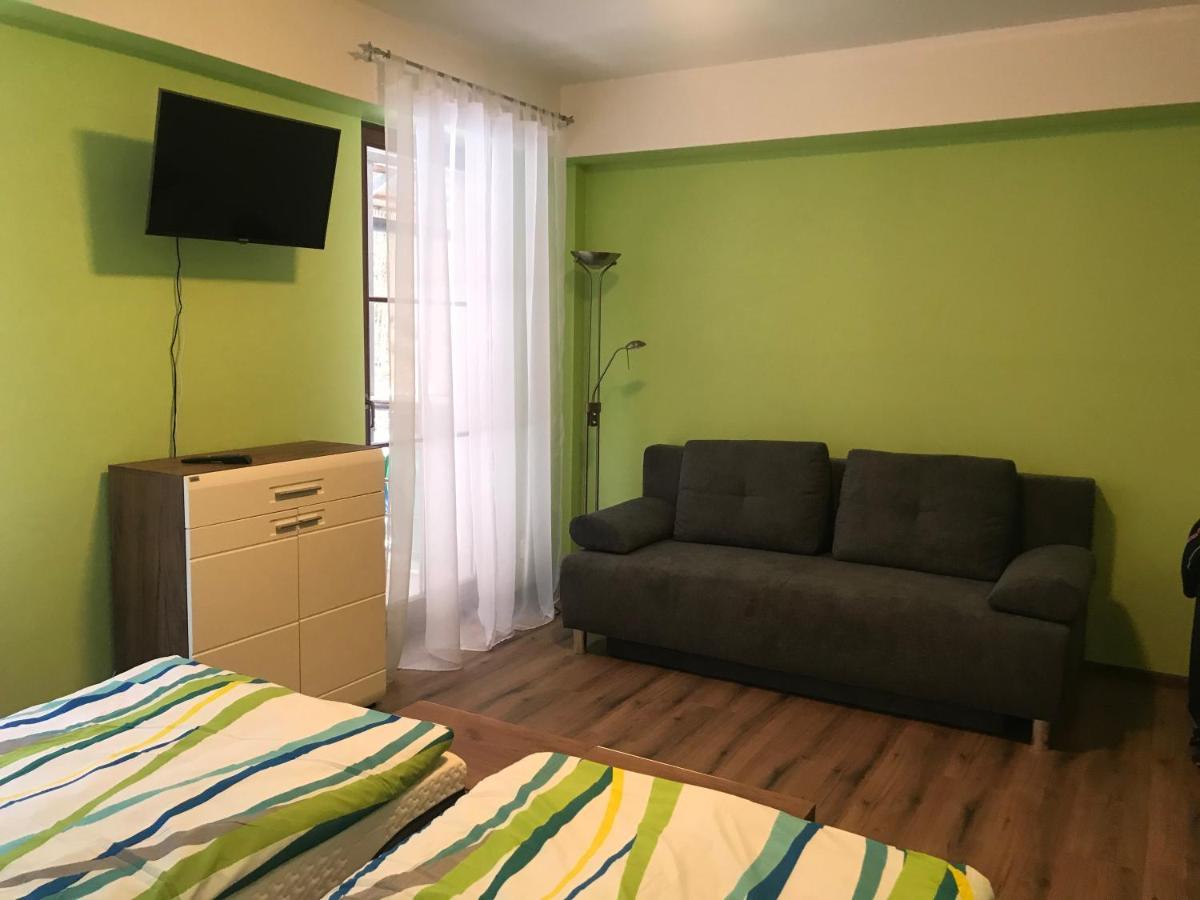 Appartement Krušné hory - Klínovec 2 km- Jáchymov 2-4 osoby Extérieur photo