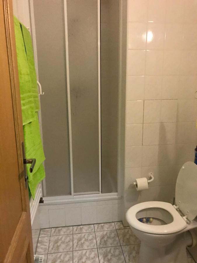 Appartement Krušné hory - Klínovec 2 km- Jáchymov 2-4 osoby Extérieur photo