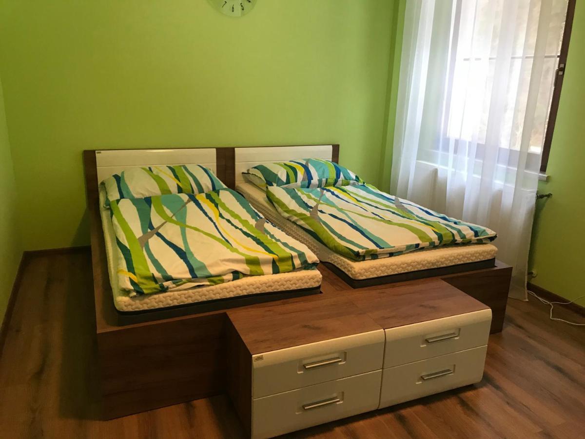 Appartement Krušné hory - Klínovec 2 km- Jáchymov 2-4 osoby Extérieur photo
