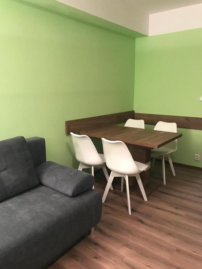 Appartement Krušné hory - Klínovec 2 km- Jáchymov 2-4 osoby Extérieur photo