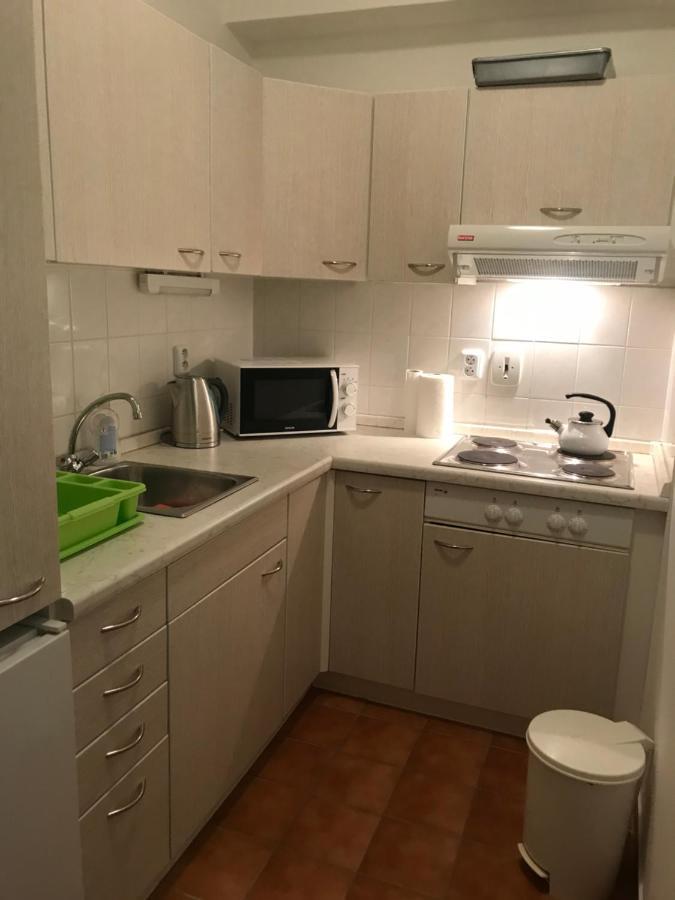 Appartement Krušné hory - Klínovec 2 km- Jáchymov 2-4 osoby Extérieur photo