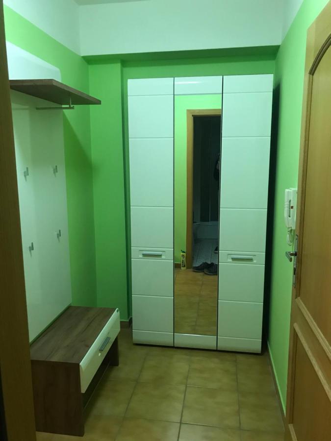 Appartement Krušné hory - Klínovec 2 km- Jáchymov 2-4 osoby Extérieur photo